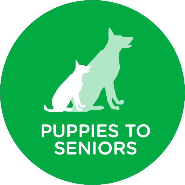Puppies to Seniors