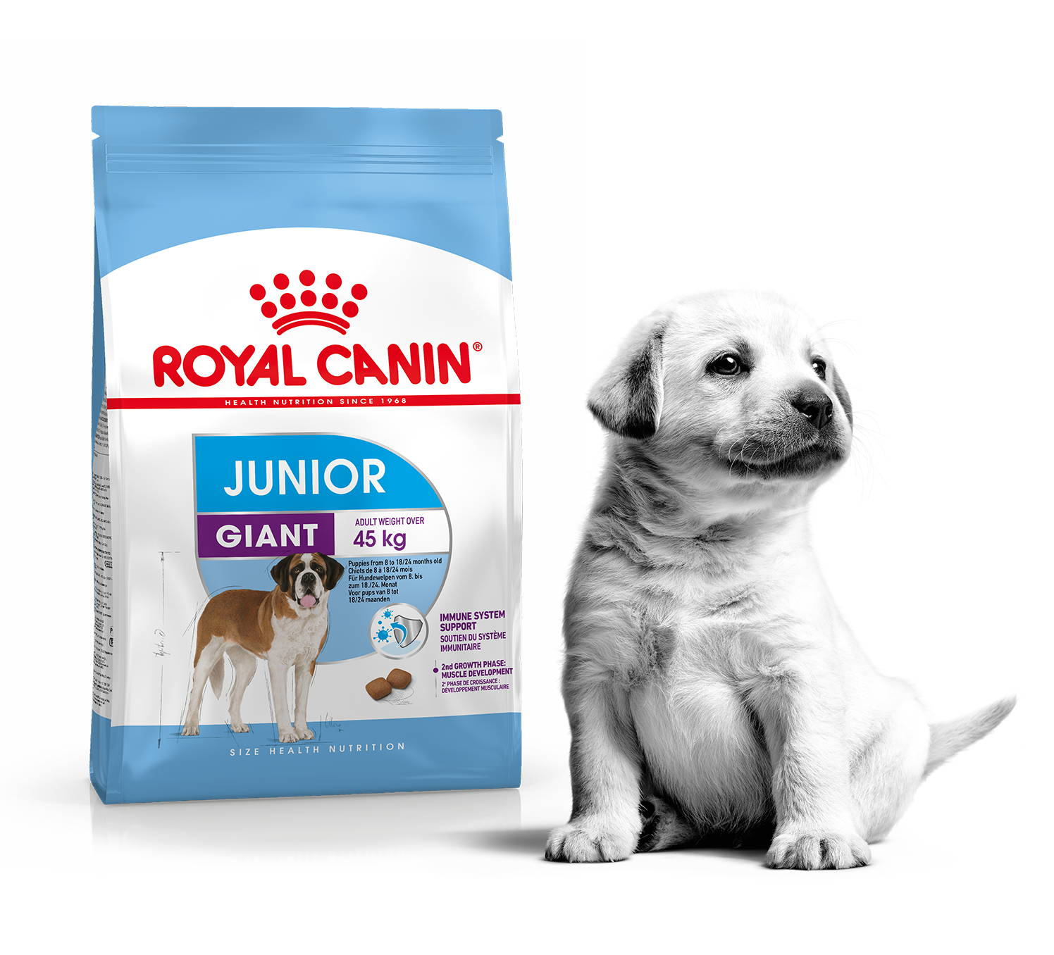 Royal Canin Giant Junior