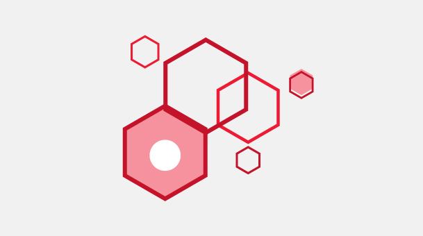 Developed with vet's