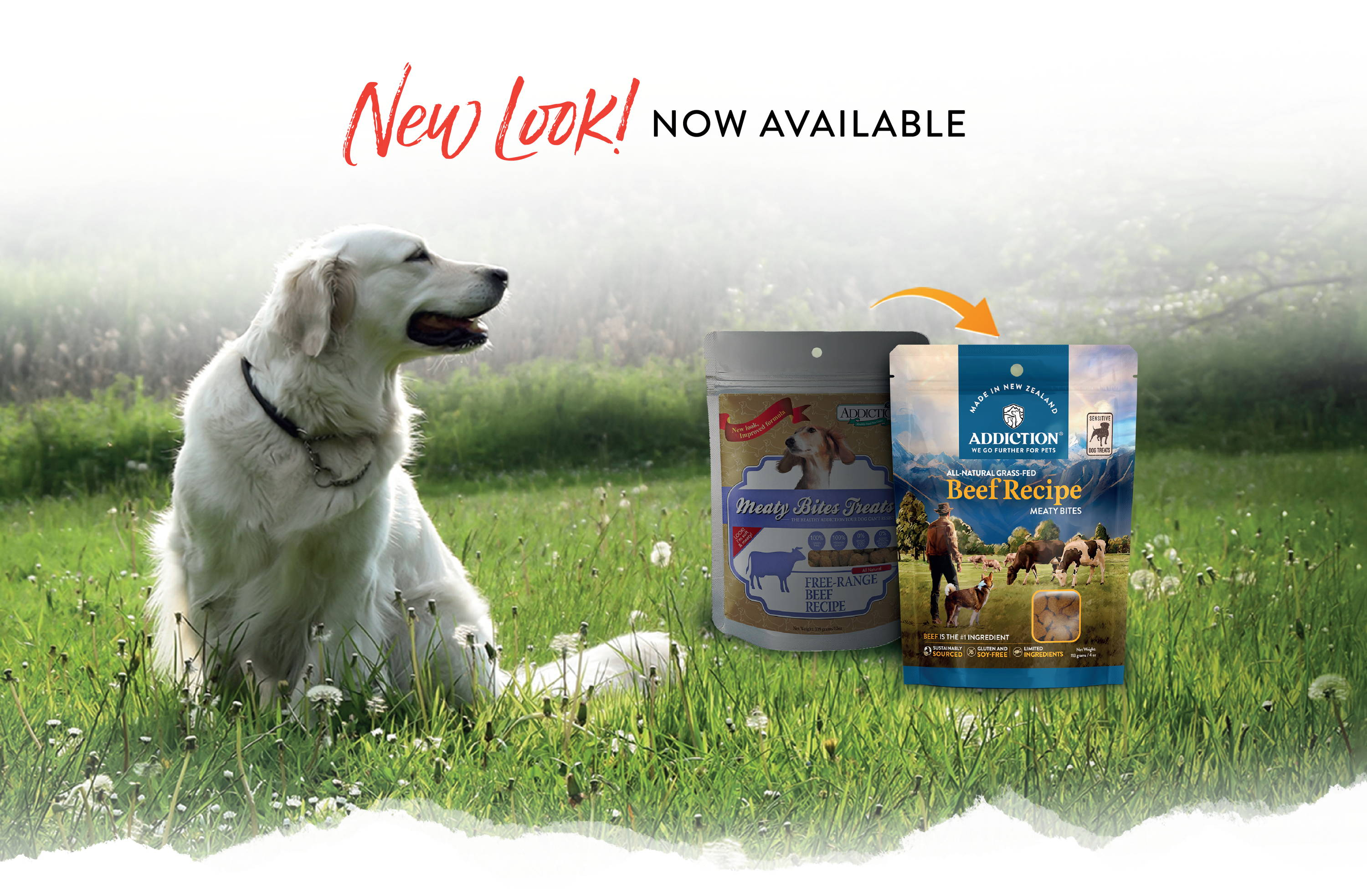 Addiction Meaty Bites Beef