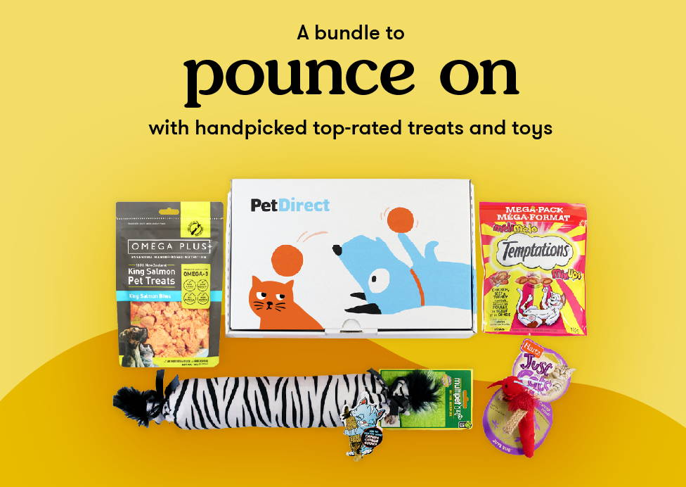 Goody Boxes for Cats - a bundle to pounce on with hand-picked top-rated treats and toys