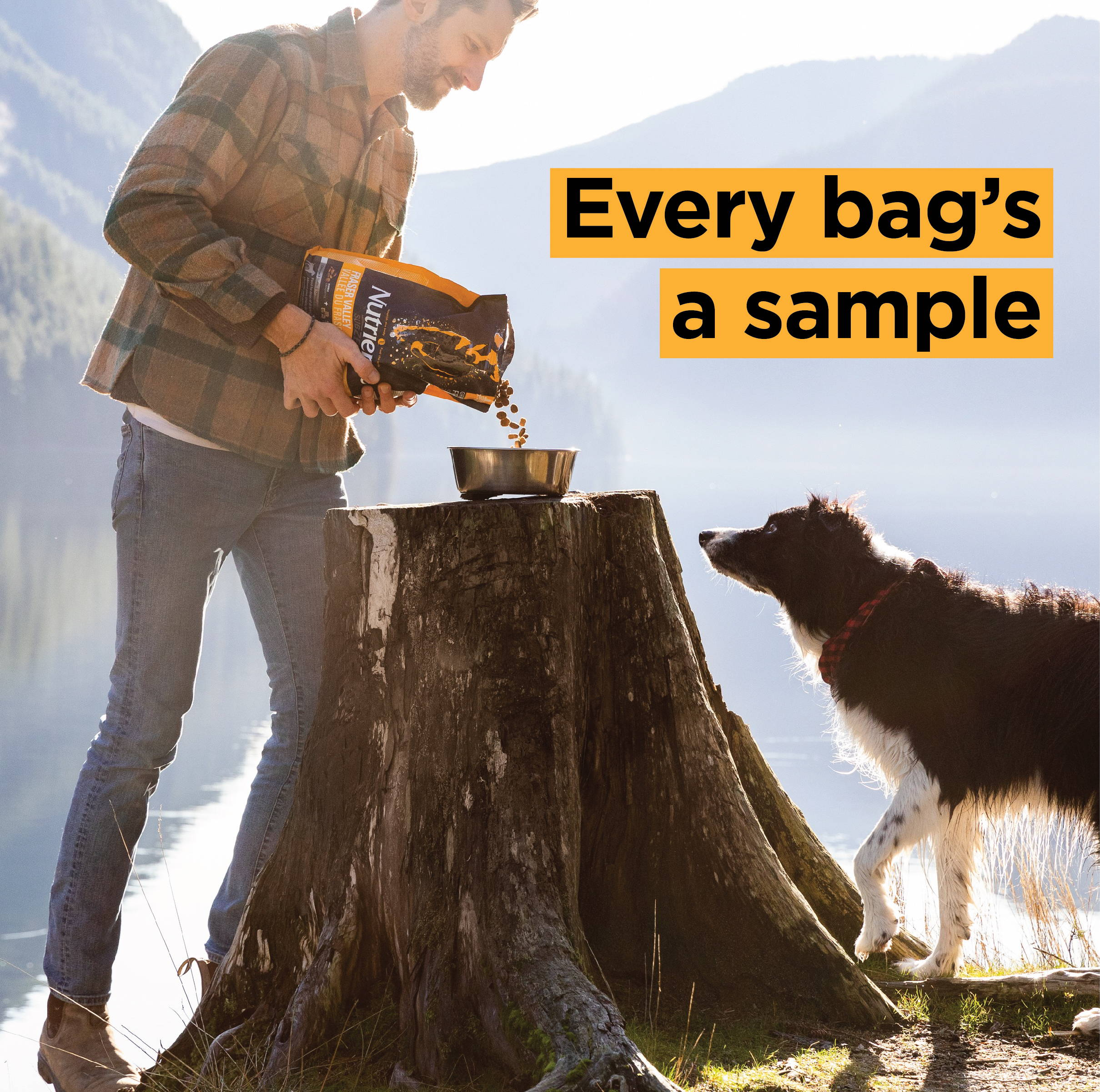 100% Money-back guarantee