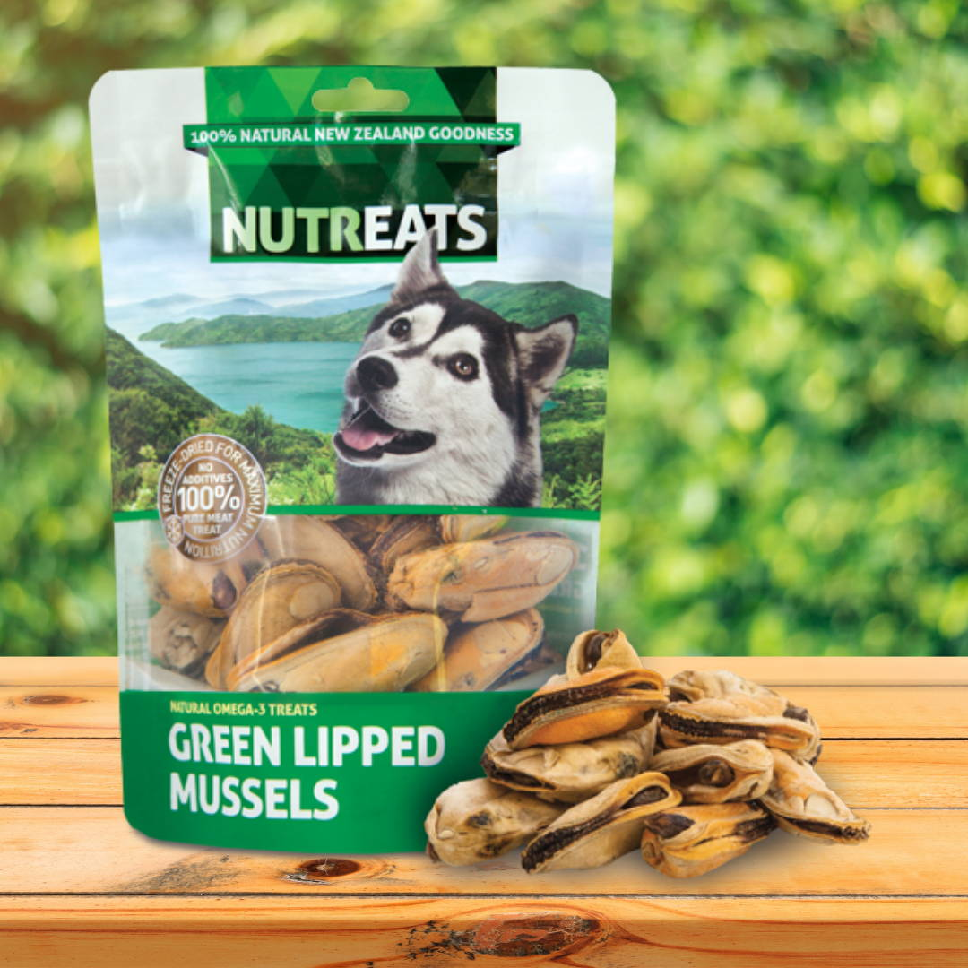 Shop Treats for Dogs