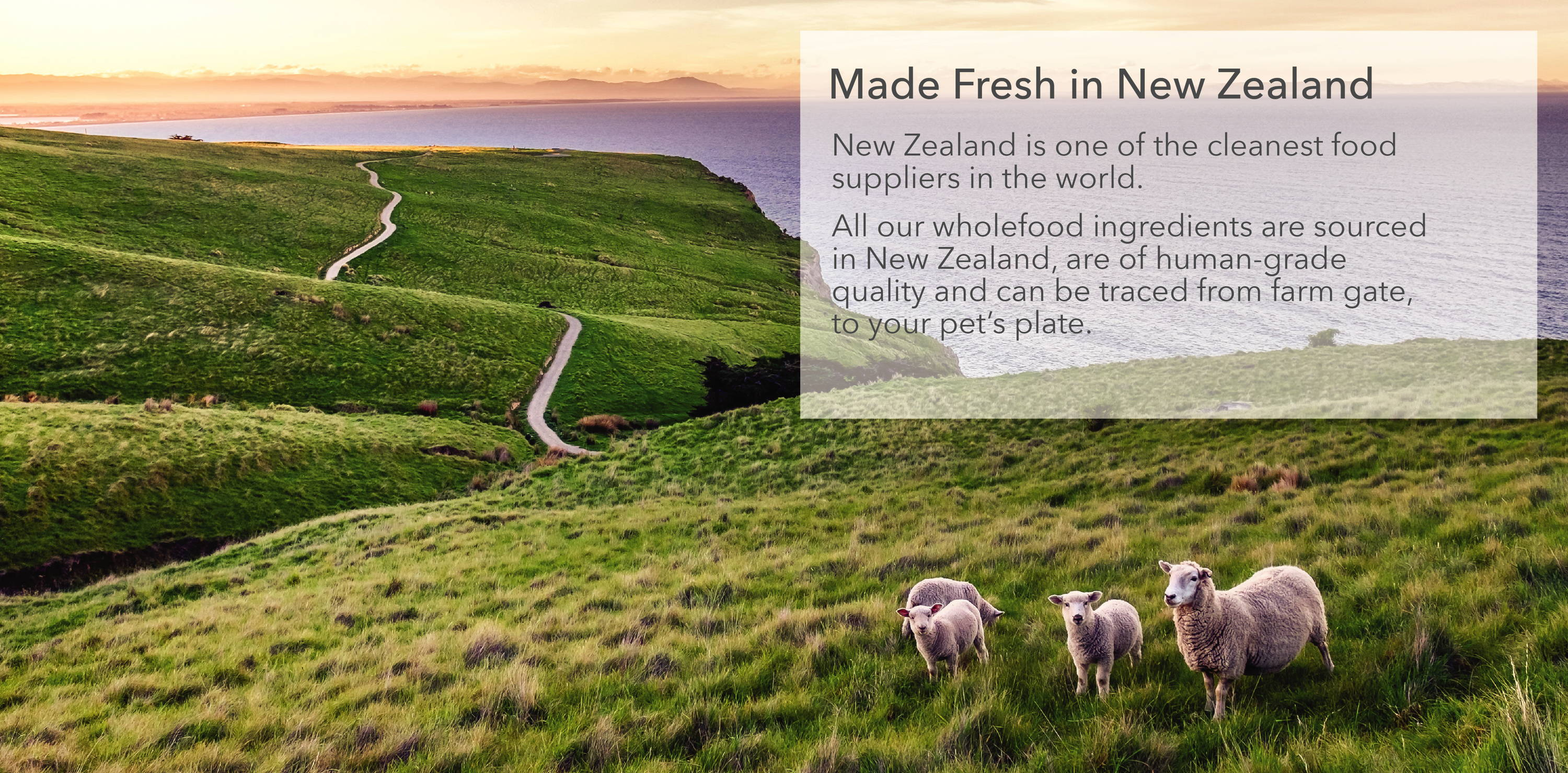 Made Fresh in New Zealand