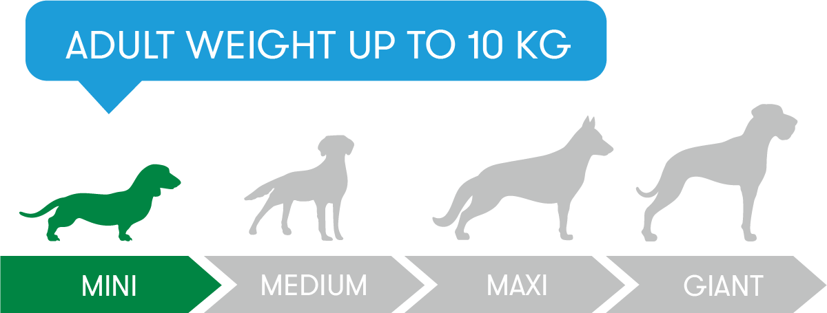 Adult weight up to 10kg