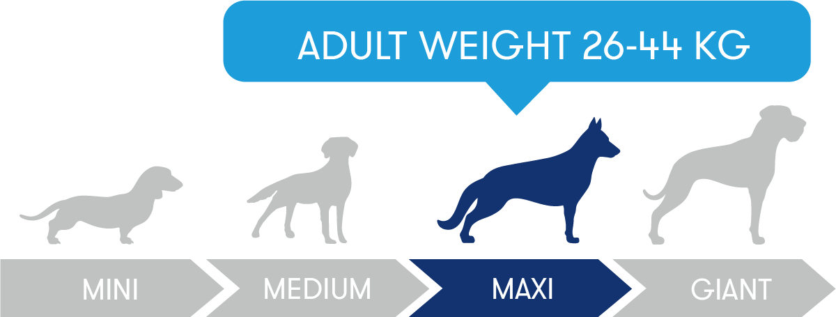 Adult weight 26-44kg