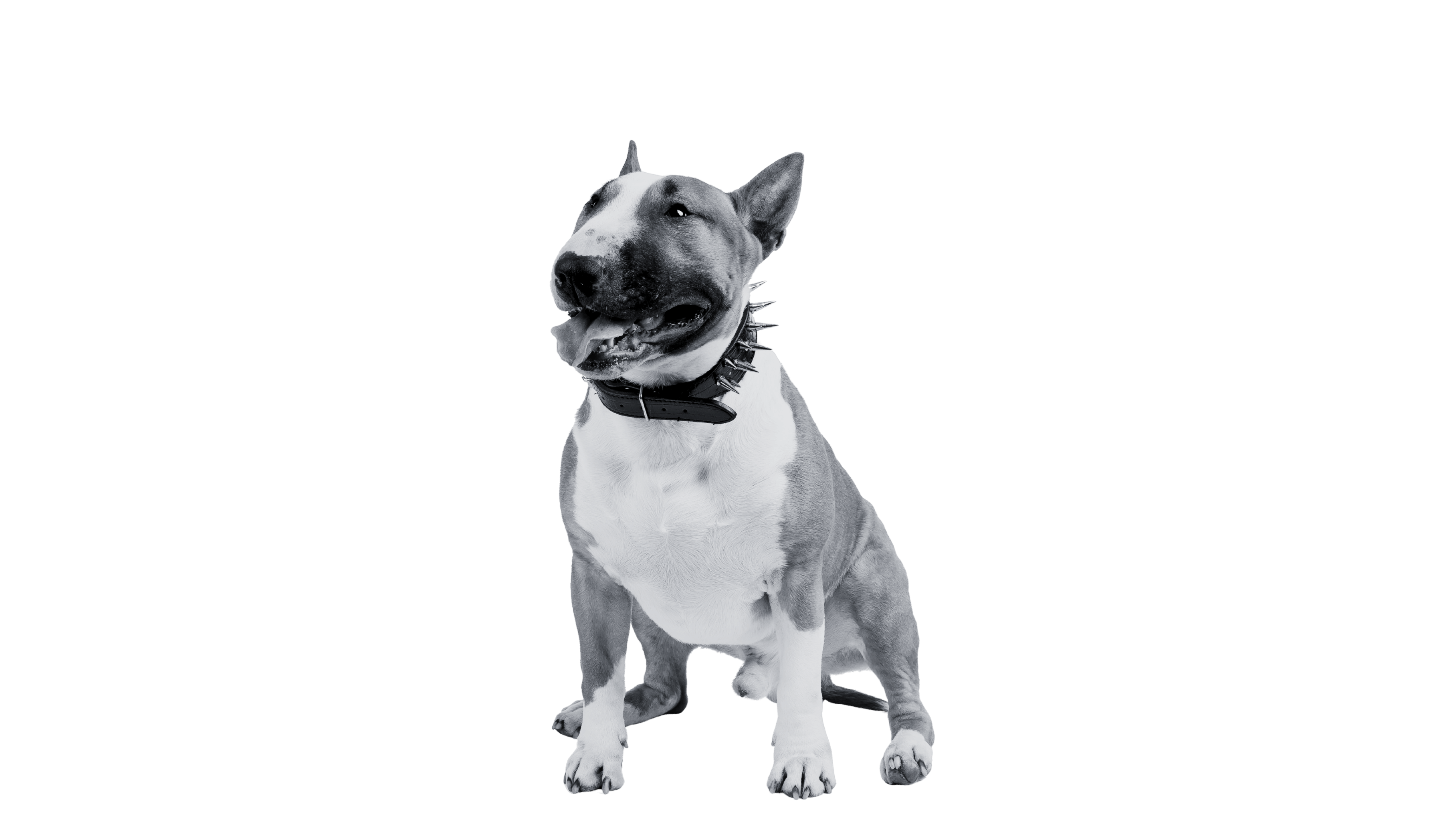 Desktop Image