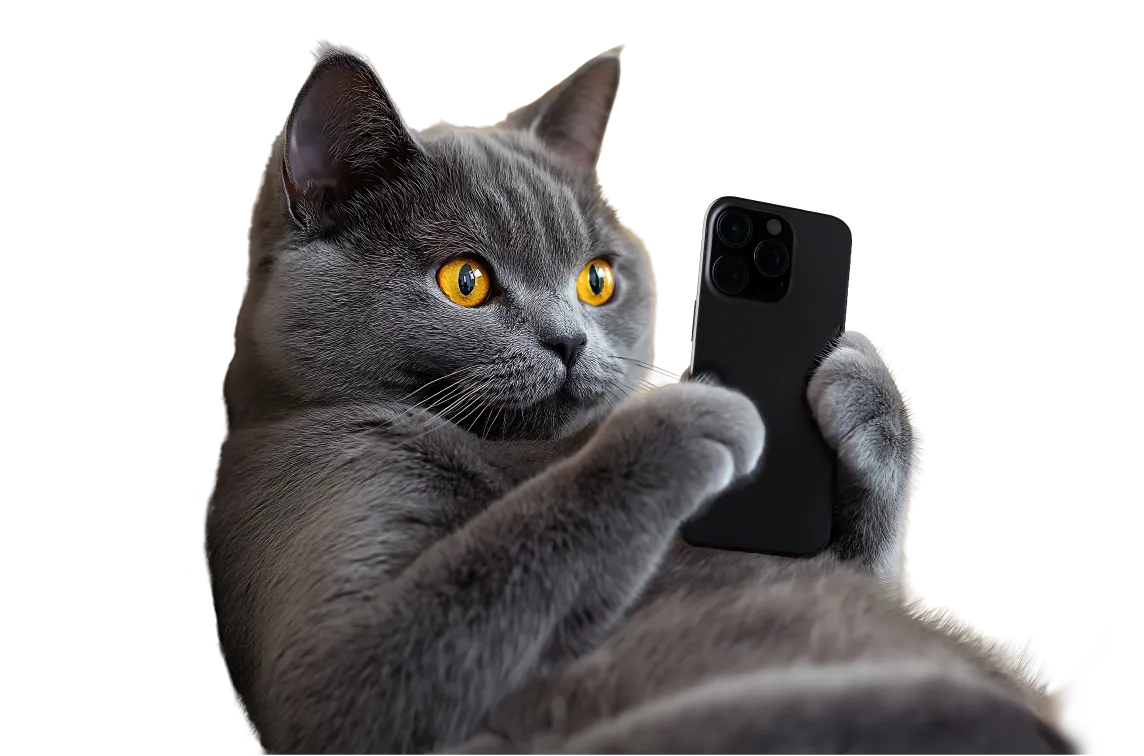 Mobile Image