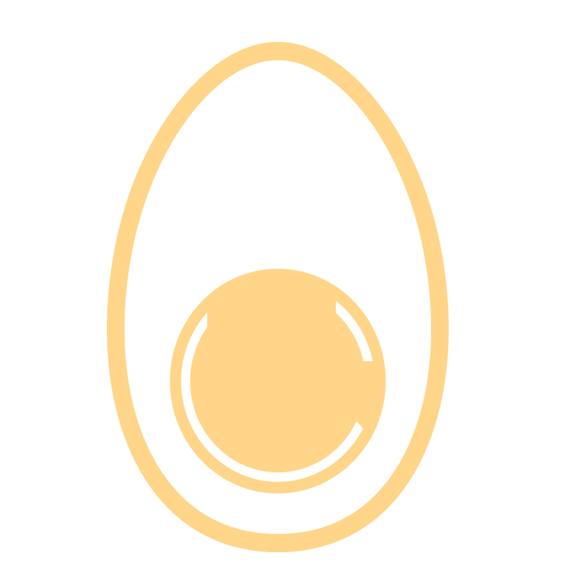 protein from eggs